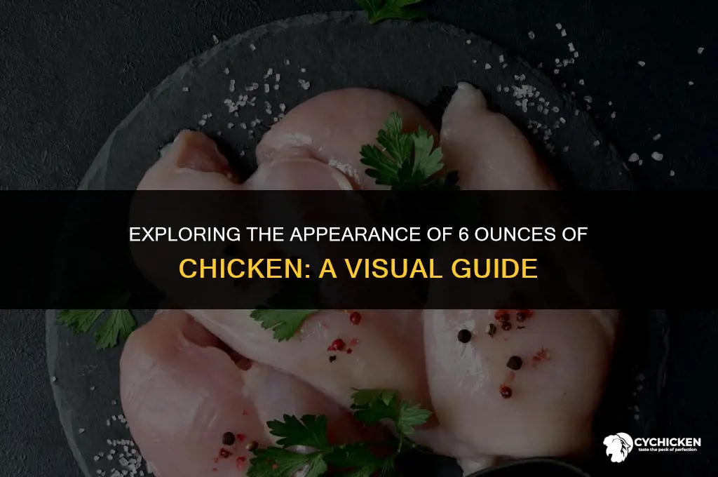 what does 6 ox chicken look like