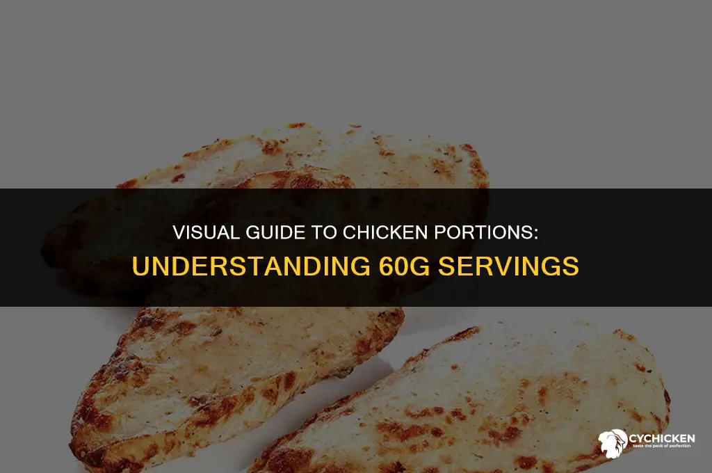 what does 60g of chicken look like