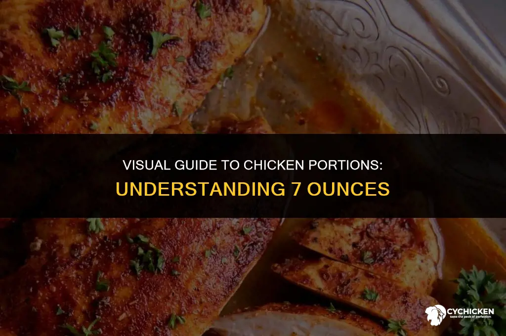 what does 7 ounces of chicken look like