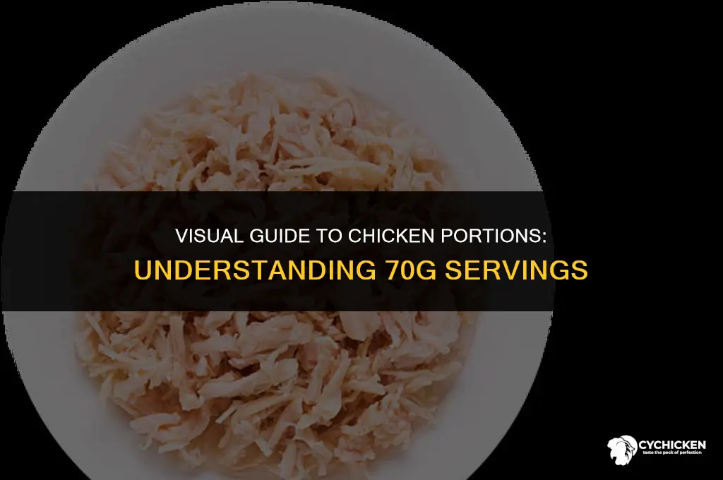what does 70g of chicken look like