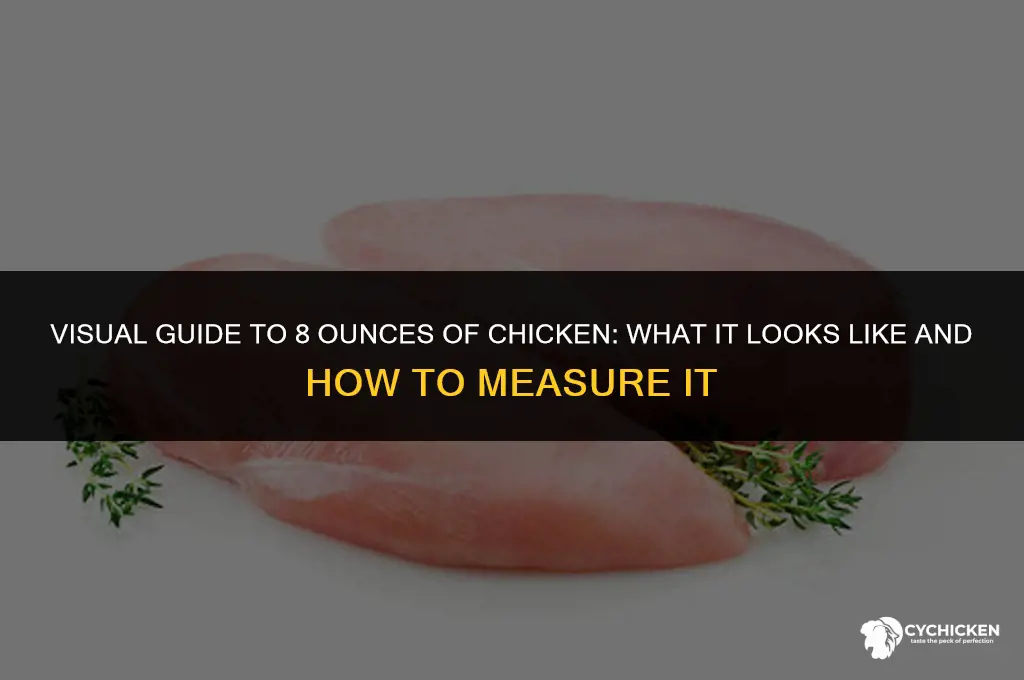 what does 8 oz chicken look like