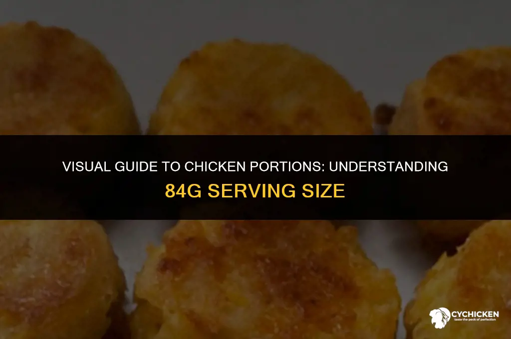 what does 84g of chicken look like