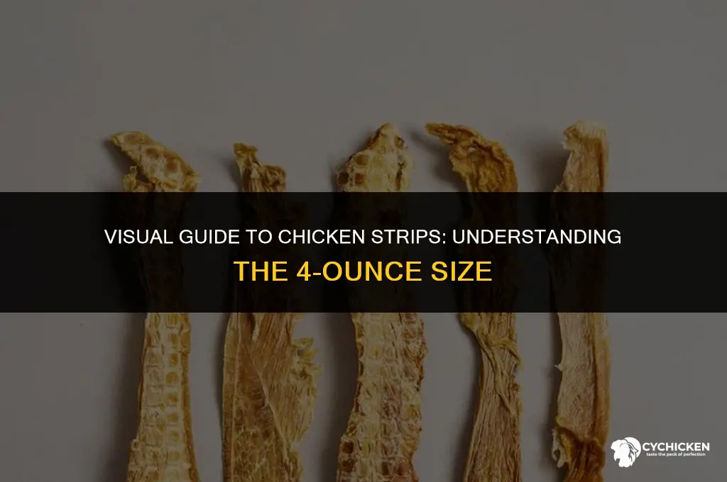 what does a 4 oz chicken strip look like