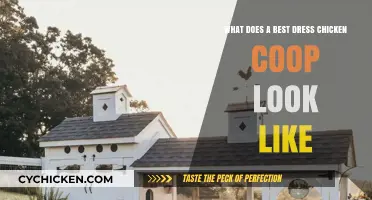 The Ultimate Guide to Designing Your Dream Chicken Coop