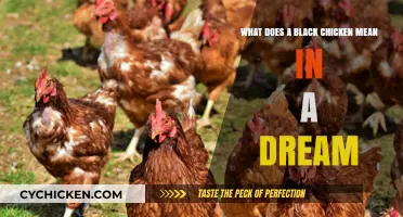 Black Chicken Dream: Interpreting the Symbolic Meaning