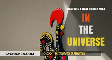 Black Chickens: Cosmic Omens and Their Meanings