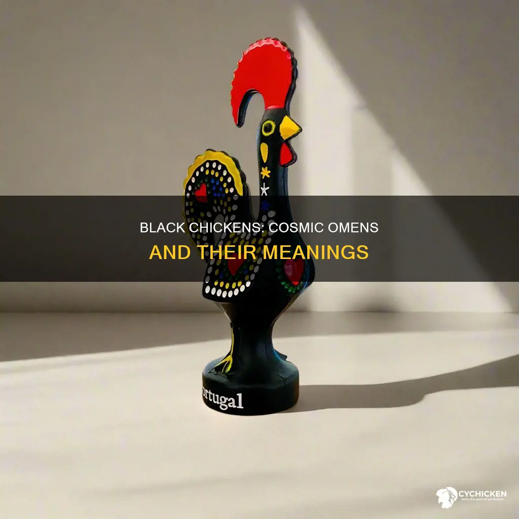 what does a black chicken mean in the universe