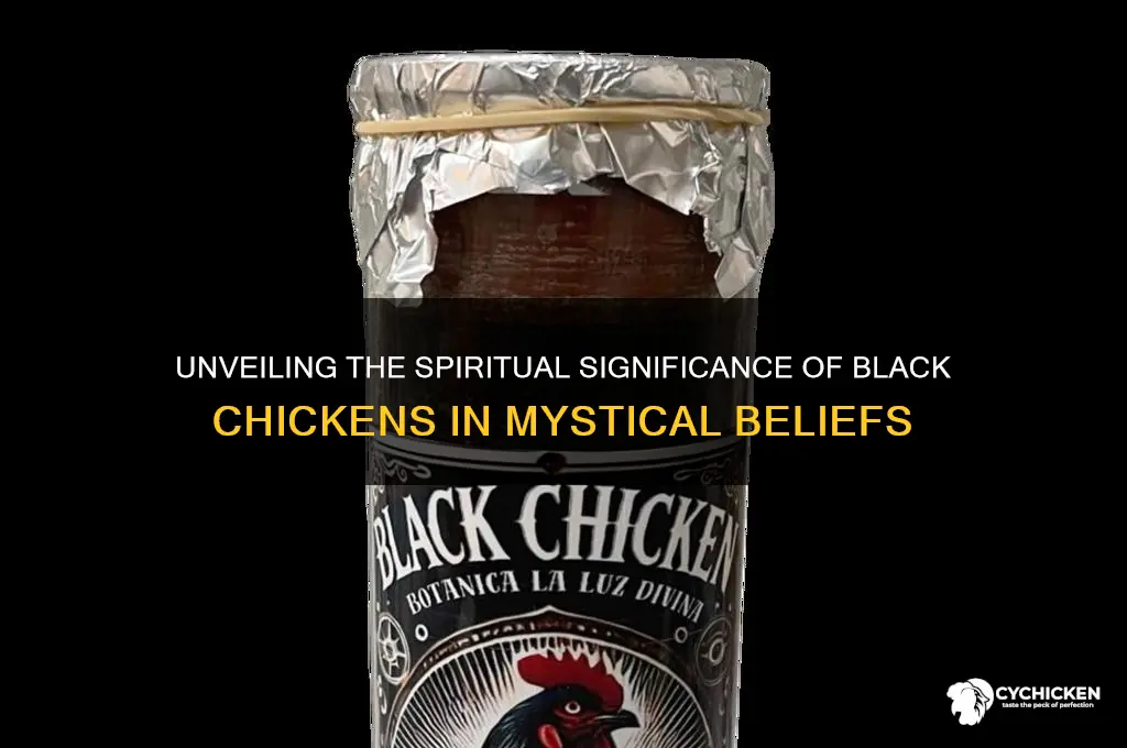 what does a black chicken mean spiritually