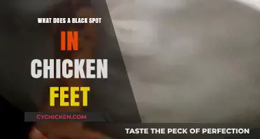 Understanding Black Spots in Chicken Feet: Causes and Concerns