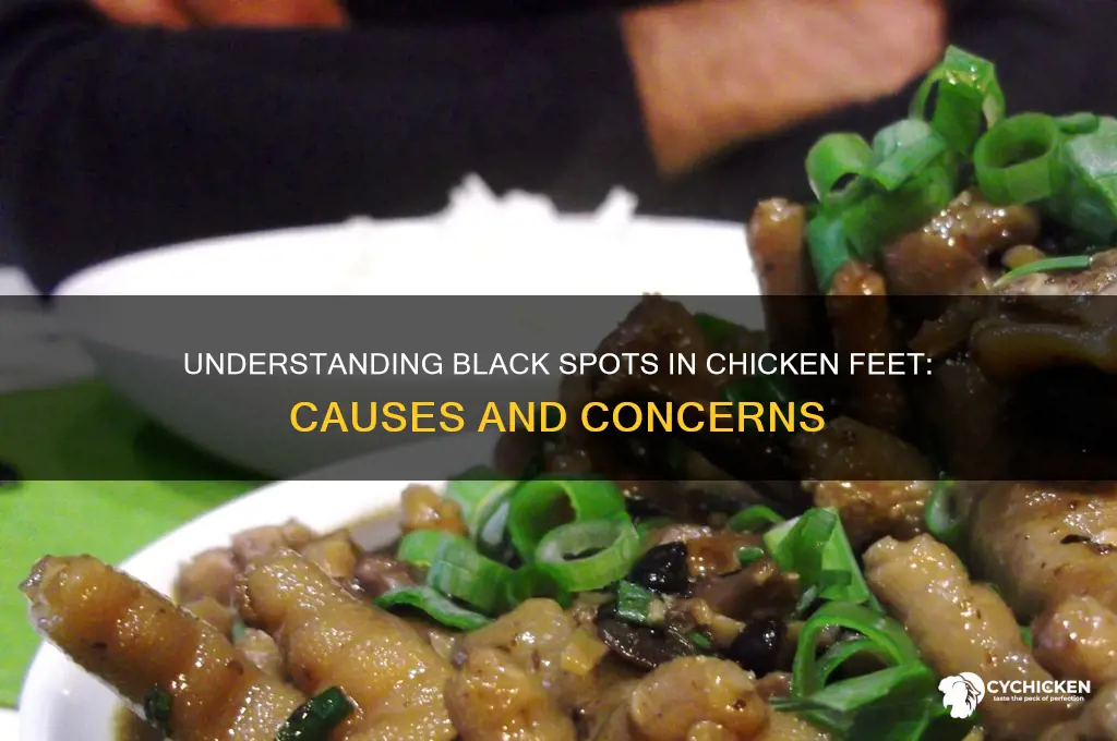 what does a black spot in chicken feet