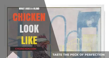 Exploring the Appearance of Sightless Chickens: A Detailed Guide