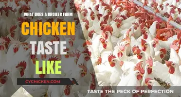 Discover the Distinct Flavor of Broiler Farm Chicken