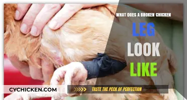 Signs and Symptoms of a Broken Chicken Leg: A Visual Guide