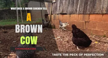 Brown Chicken, Brown Cow: What's the Secret?