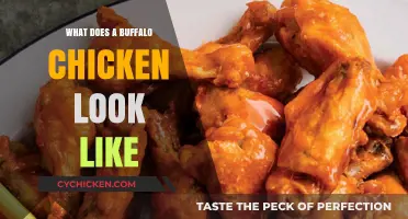 Exploring the Appearance of Buffalo Chickens: A Visual Guide