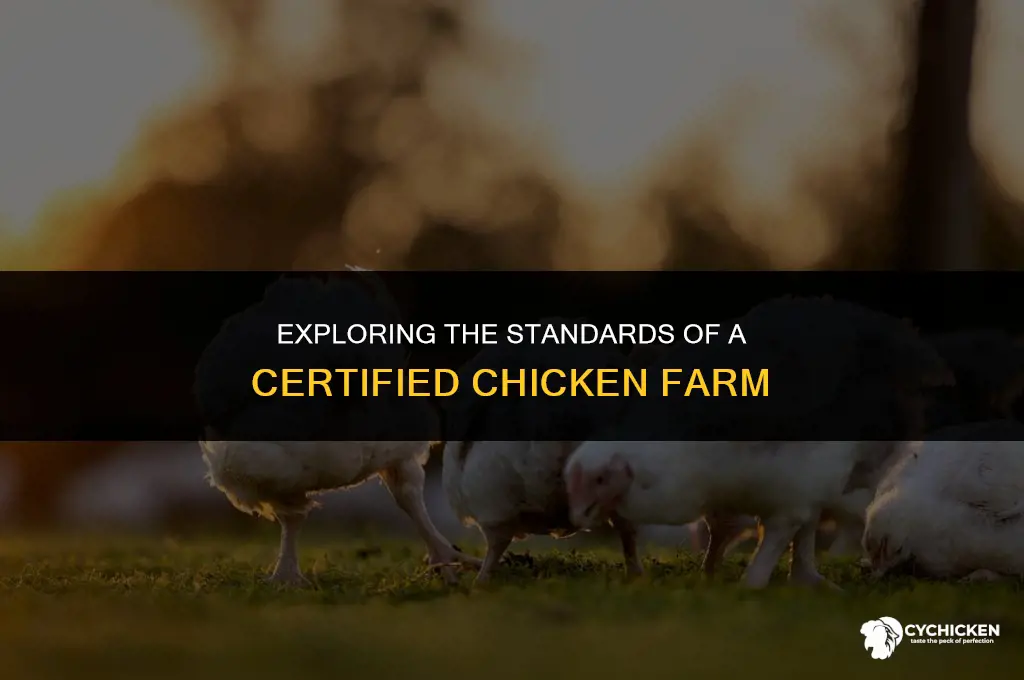 what does a certified chicken farm l ook like