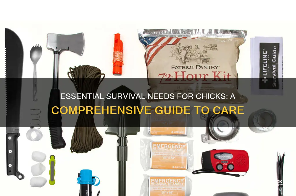 what does a chick need to survive