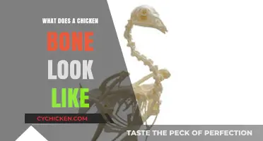 Unveiling the Intricacies: A Close-Up Look at Chicken Bones