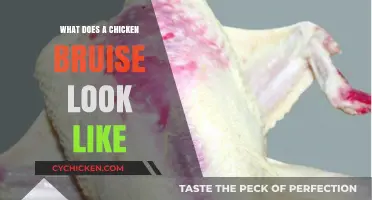 Identifying Chicken Bruises: A Visual Guide for Poultry Care