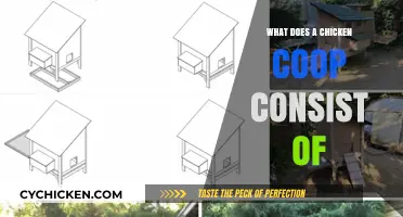 Exploring the Essentials: What Makes Up a Chicken Coop?