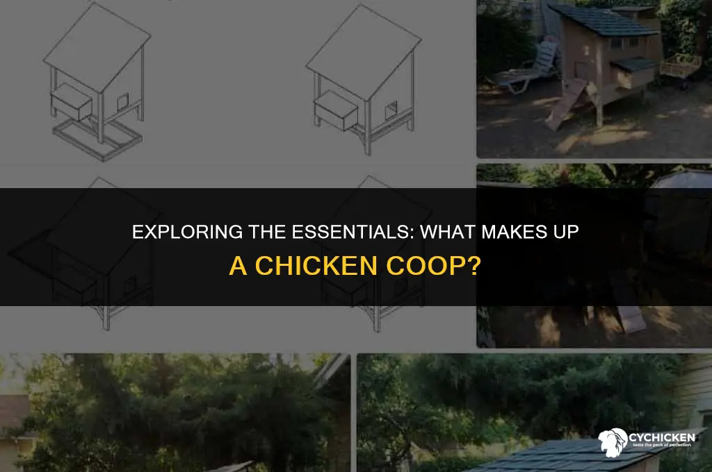 what does a chicken coop consist of