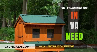 Essential Requirements for a Chicken Coop in Virginia