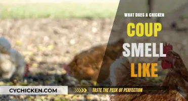 Exploring the Distinct Aromas of a Chicken Coop