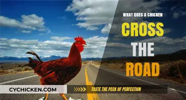 Why Chickens Cross Roads: Unraveling the Mystery Behind the Joke