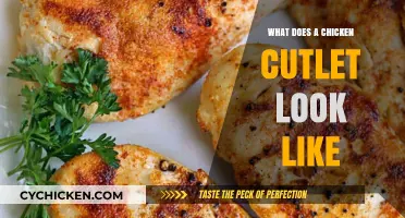 Exploring the Appearance of a Perfectly Prepared Chicken Cutlet
