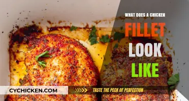 Exploring the Appearance of a Perfectly Cooked Chicken Fillet