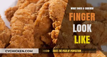 Exploring the Anatomy of a Chicken Finger: A Visual Guide