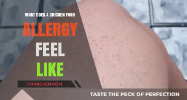 Exploring the Symptoms of a Chicken Food Allergy: A Personal Guide