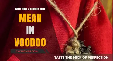 Unveiling the Mystical Significance of Chicken Feet in Voodoo Practices