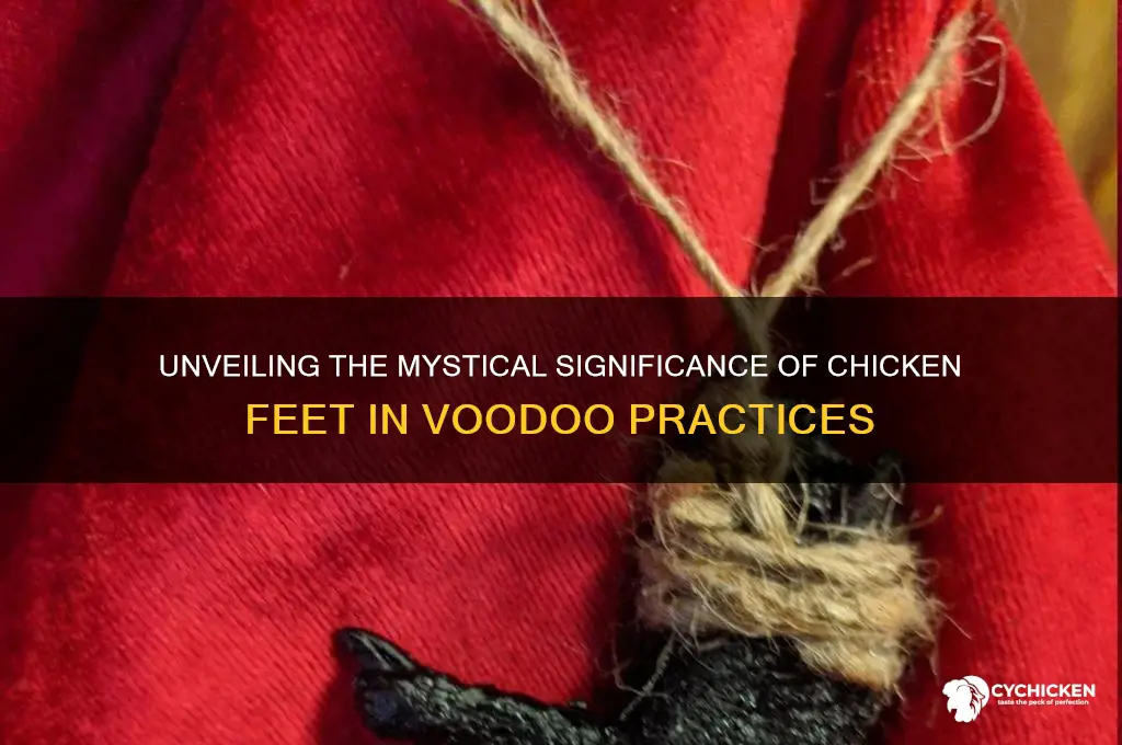 what does a chicken foot mean in voodoo