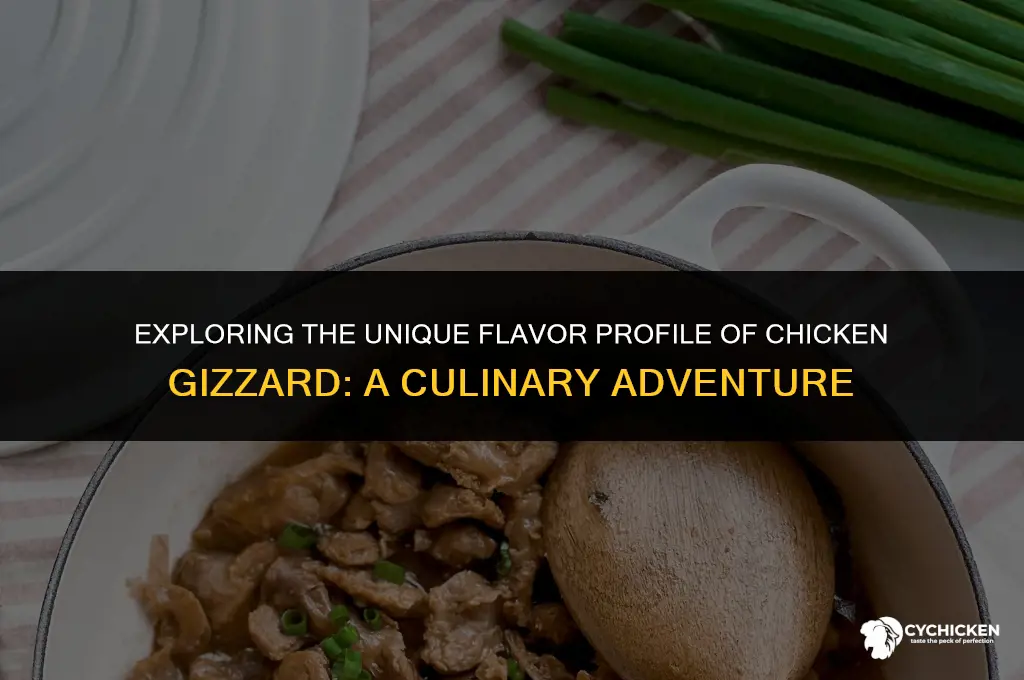what does a chicken gizzard taste like