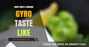 Savoring the Flavors: A Delectable Journey into Chicken Gyro Delight