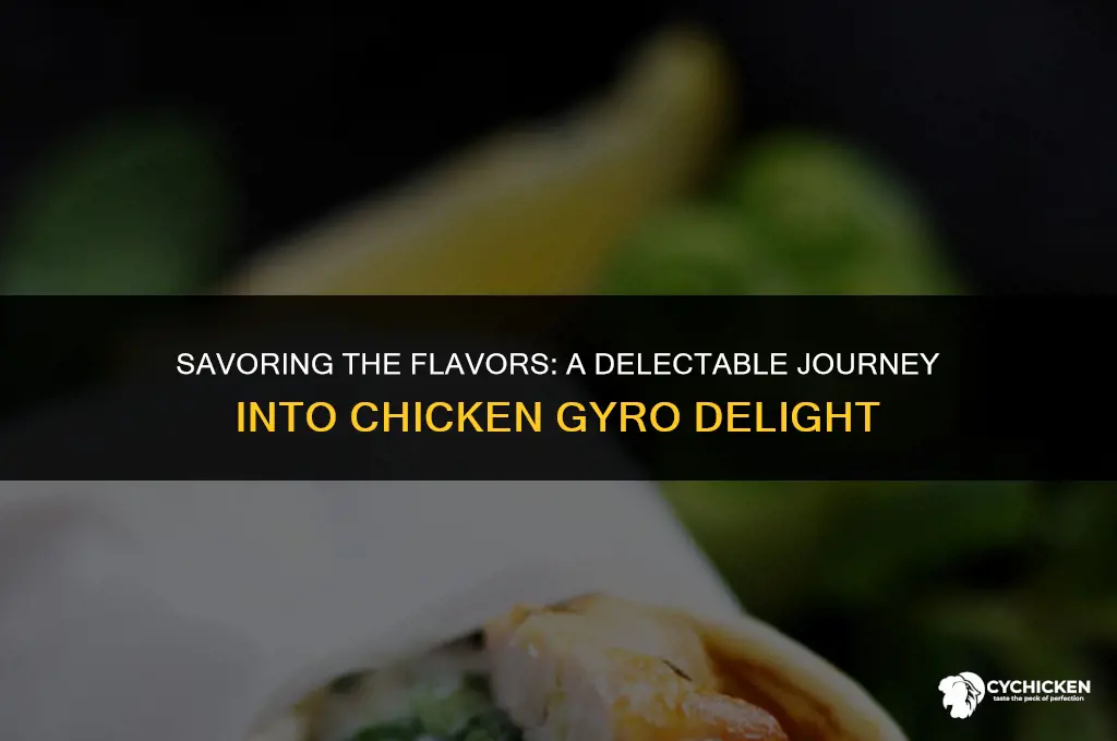 what does a chicken gyro taste like