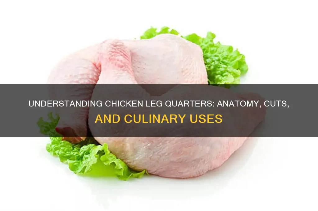 what does a chicken leg quarter consist of