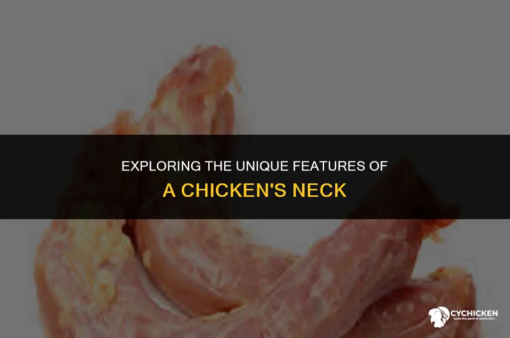 what does a chicken neck look like