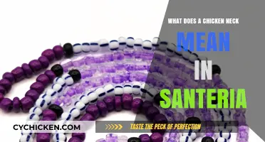 Understanding the Chicken Neck Symbolism in Santeria Practices and Rituals
