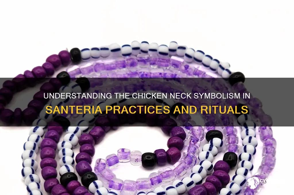 what does a chicken neck mean in santeria