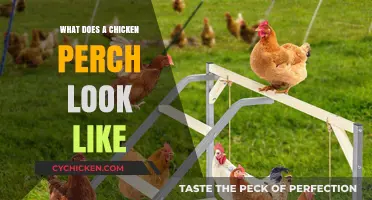 Exploring the Perfect Perch: A Guide to Chicken Roost Design