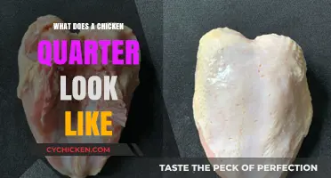 Exploring the Anatomy of a Chicken Quarter: A Visual Guide
