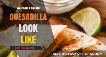 Exploring the Irresistible Appearance of a Chicken Quesadilla