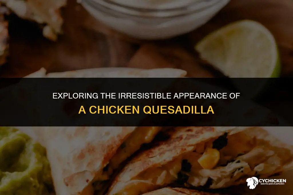 what does a chicken quesadilla look like