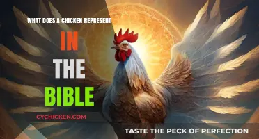 Biblical Symbolism of Chickens: Uncovering Their Spiritual Meaning in Scripture