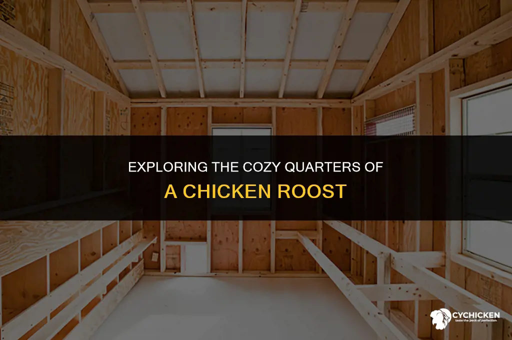 what does a chicken roost look like