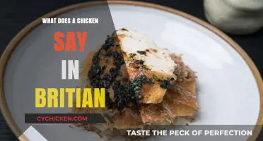 Clucks and Accents: Decoding British Chicken Sounds and Their Meanings