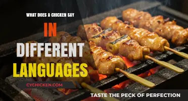 Clucks Around the Globe: Chicken Sounds in Various Languages