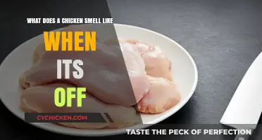 Unpleasant Aromas: How to Tell When Chicken Has Gone Bad
